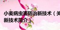 小麥病蟲害防治新技術(關于小麥病蟲害防治新技術簡介)