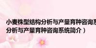 小麥株型結構分析與產量育種咨詢系統(關于小麥株型結構分析與產量育種咨詢系統簡介)