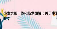 小麥水肥一體化技術圖解(關于小麥水肥一體化技術圖解簡介)