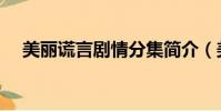 美麗謊言劇情分集簡介(美麗謊言劇情)