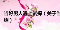 當好男人遇上試探(關于當好男人遇上試探介紹)