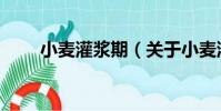 小麥灌漿期(關于小麥灌漿期簡介)