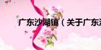 廣東沙湖鎮(關于廣東沙湖鎮介紹)