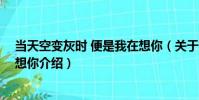 當天空變灰時 便是我在想你(關于當天空變灰時 便是我在想你介紹)