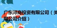廣東潯商投資有限公司(關于廣東潯商投資有限公司介紹)