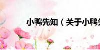 小鴨先知(關于小鴨先知簡介)