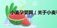 小麥孕嬰網(關于小麥孕嬰網簡介)