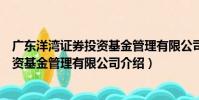 廣東洋灣證券投資基金管理有限公司(關于廣東洋灣證券投資基金管理有限公司介紹)