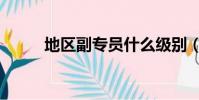 地區副專員什么級別(地區二中)