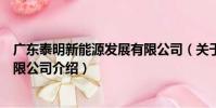 廣東泰明新能源發展有限公司(關于廣東泰明新能源發展有限公司介紹)