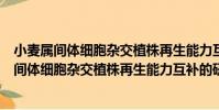 小麥屬間體細胞雜交植株再生能力互補的研究(關于小麥屬間體細胞雜交植株再生能力互補的研究簡介)