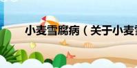 小麥雪腐病(關于小麥雪腐病簡介)