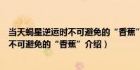 當天蝎星逆運時不可避免的“香蕉”(關于當天蝎星逆運時不可避免的“香蕉”介紹)