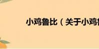 小雞魯比(關于小雞魯比簡介)