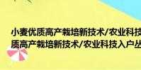 小麥優質高產栽培新技術/農業科技入戶叢書(關于小麥優質高產栽培新技術/農業科技入戶叢書簡介)