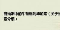 當婚姻中的牛頓遇到畢加索(關于當婚姻中的牛頓遇到畢加索介紹)
