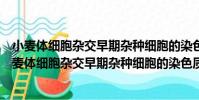 小麥體細胞雜交早期雜種細胞的染色質消減及漸滲(關于小麥體細胞雜交早期雜種細胞的染色質消減及漸滲簡介)