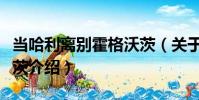 當哈利離別霍格沃茨(關于當哈利離別霍格沃茨介紹)