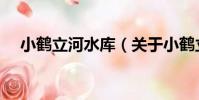 小鶴立河水庫(關于小鶴立河水庫簡介)