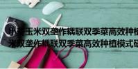 小麥玉米雙壟作耦聯雙季菜高效種植模式研究(關于小麥玉米雙壟作耦聯雙季菜高效種植模式研究簡介)