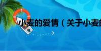 小麥的愛情(關于小麥的愛情簡介)