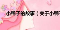 小鴨子的故事(關于小鴨子的故事簡介)