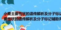小麥主要性狀的遺傳解析及分子標記輔助育種(關于小麥主要性狀的遺傳解析及分子標記輔助育種簡介)
