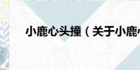 小鹿心頭撞(關于小鹿心頭撞簡介)