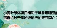 小麥葉綠體蛋白組對干旱脅迫響應的研究(關于小麥葉綠體蛋白組對干旱脅迫響應的研究簡介)