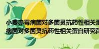 小麥赤霉病菌對多菌靈抗藥性相關蛋白研究(關于小麥赤霉病菌對多菌靈抗藥性相關蛋白研究簡介)