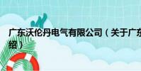 廣東沃倫丹電氣有限公司(關于廣東沃倫丹電氣有限公司介紹)