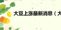 大豆上漲最新消息(大豆發源地)