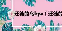 遷徙的鳥lqw(遷徙的鳥有哪些)