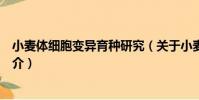 小麥體細胞變異育種研究(關于小麥體細胞變異育種研究簡介)