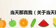 當天那真我(關于當天那真我介紹)