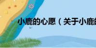 小鹿的心愿(關于小鹿的心愿簡介)