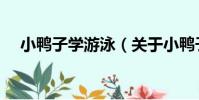 小鴨子學游泳(關于小鴨子學游泳簡介)