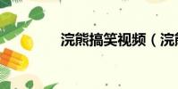 浣熊搞笑視頻(浣熊賽車)