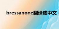 bressanone翻譯成中文(bressanon)