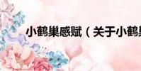 小鶴巢感賦(關于小鶴巢感賦簡介)