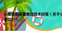小麥地膜覆蓋栽培技術問答(關于小麥地膜覆蓋栽培技術問答簡介)