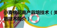 小麥棉花高產栽培技術(關于小麥棉花高產栽培技術簡介)