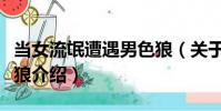 當女流氓遭遇男色狼(關于當女流氓遭遇男色狼介紹)