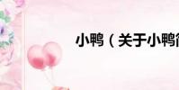 小鴨(關于小鴨簡介)