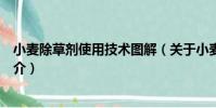 小麥除草劑使用技術圖解(關于小麥除草劑使用技術圖解簡介)