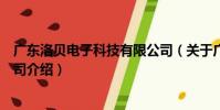 廣東洛貝電子科技有限公司(關于廣東洛貝電子科技有限公司介紹)