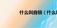 什么叫自鎖(什么叫自鎖)