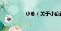 小鹿(關于小鹿簡介)