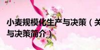 小麥規模化生產與決策(關于小麥規模化生產與決策簡介)