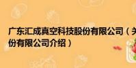 廣東匯成真空科技股份有限公司(關于廣東匯成真空科技股份有限公司介紹)
